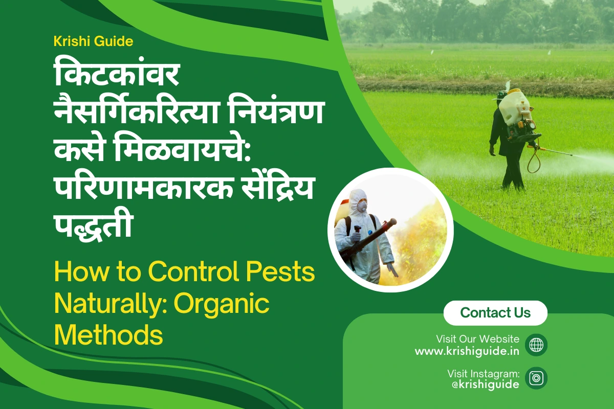 How to Control Pests Naturally Organic method