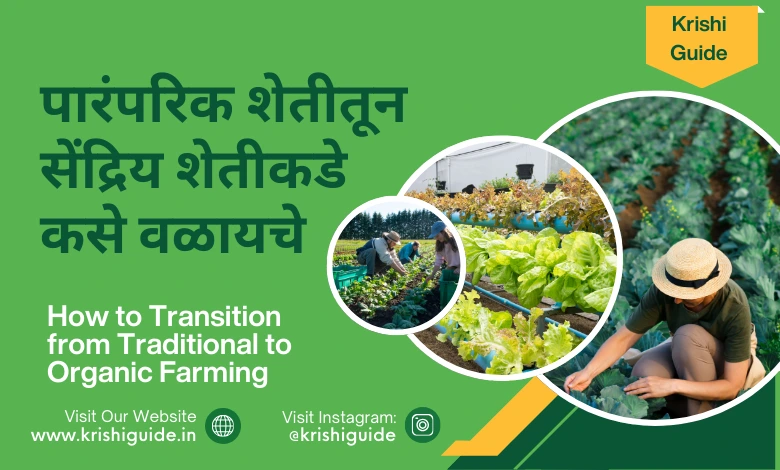 How to Transition from Traditional Farming