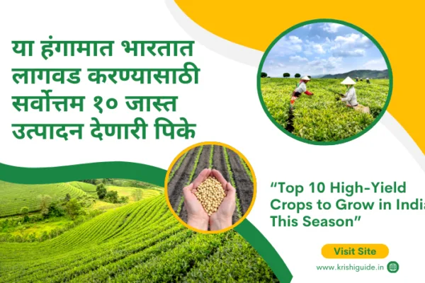 Top 10 High-Yield Crops to Grow in India This Season