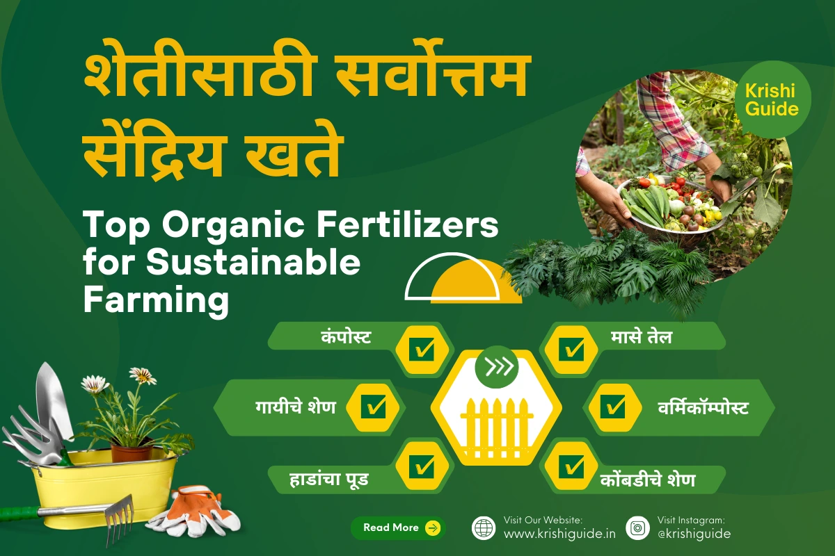 Top Organic Fertilizers for Sustainable Farming
