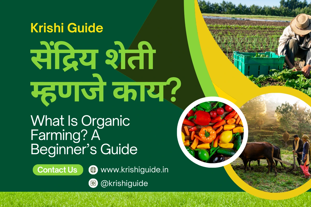 What is Organic Farming A Beginners Guide