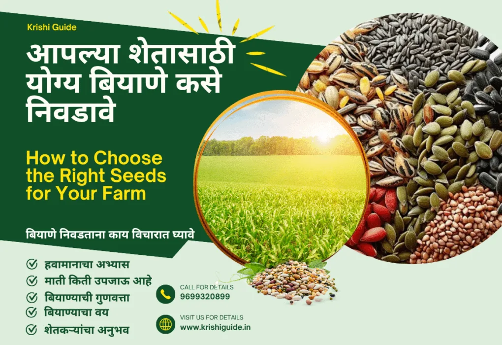 शेतासाठी योग्य बियाणे कसे निवडावे