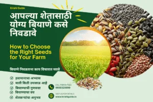 शेतासाठी योग्य बियाणे कसे निवडावे